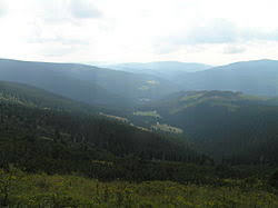 Lesni hora